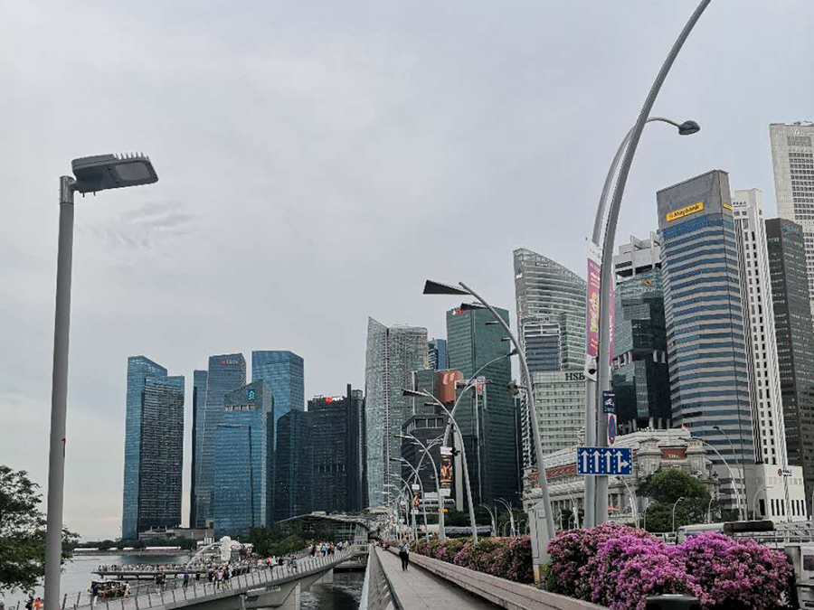 Project in Singapore